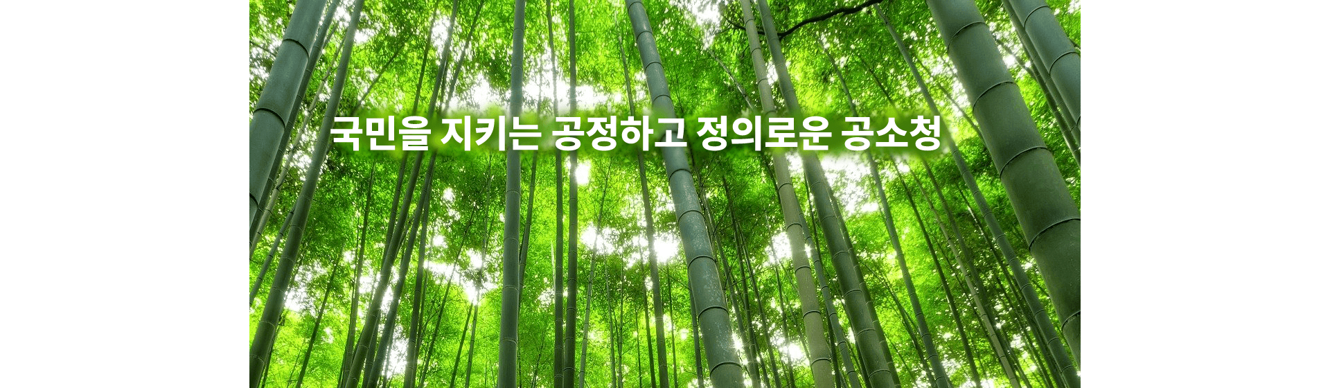 국민을 지키는 공정하고 정의로운 공소청